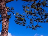 Gran Canaria